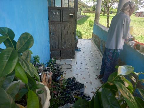 Kitchen Gardens
